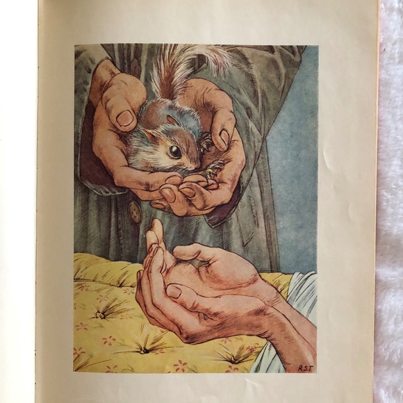 Winkle by Albra Pratten, 1950 - Picture 12 of 13